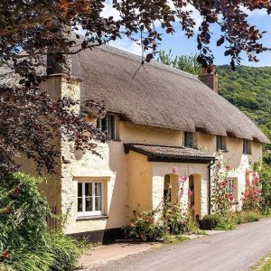 A yellow thatched cottage in Bossington with pretty flora and fauna out in flower