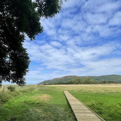 Boardwalk across Porlock Marsh with blue sky and clouds in the background and green grass either side