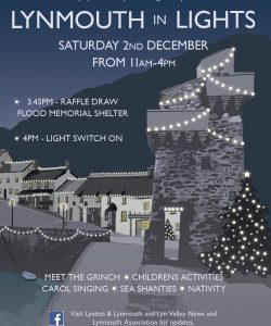 Lynmouth in Lights poster