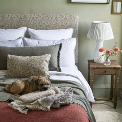 Dog and hot water bottle on bed