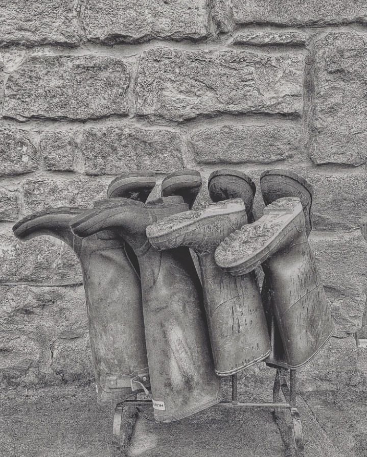 Black and white photo of wellies upside down on a welly rack