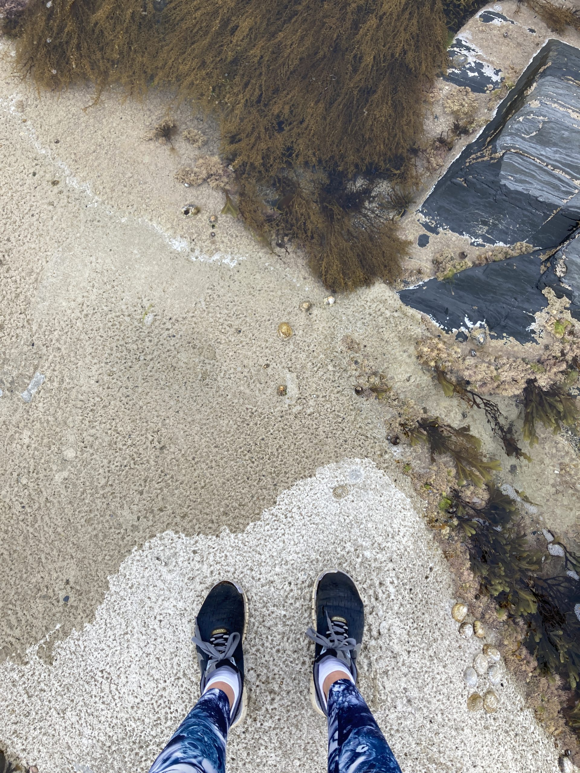 Trainers on beach