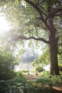 Countryside secluded swing spot