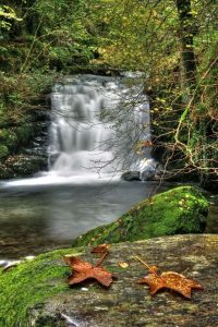 Watersmeet Waterfall Exmoor