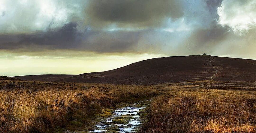 The track to the top - Dunkery Beacon