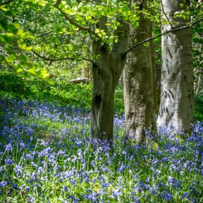 Cottages for May Bank Holidays