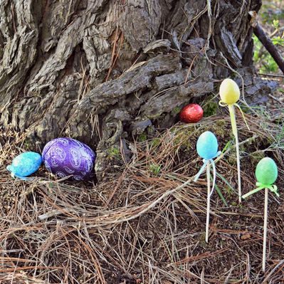 Easter eggs at the foot of a tree in the woods Exmoor