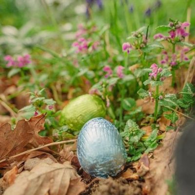 Green & blue foil wrapped Easter Eggs in Woodland