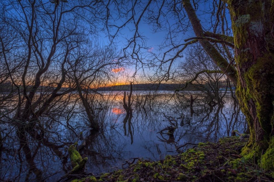 Wimbleball Lake at sunset with a dusk blu sky and orange glow on the horizon, taken through the branches of trees