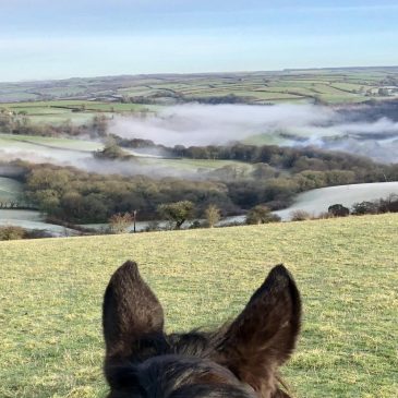 Take Your Horse on Holiday to Exmoor | Places to Stay