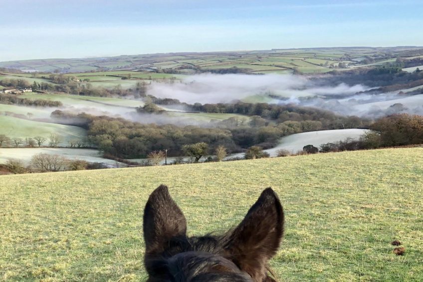 Take Your Horse on Holiday to Exmoor | Places to Stay