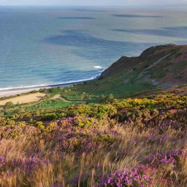 The Best 3 Day Itinerary for an Exmoor Spring Break