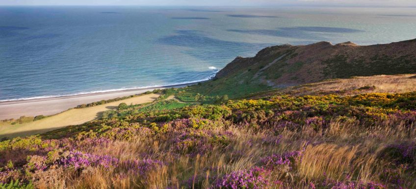 The Best 3 Day Itinerary for an Exmoor Spring Break