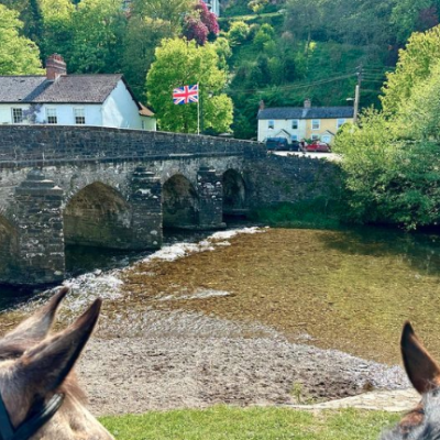 Barle Bridge, Dulverton