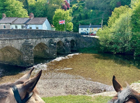 Barle Bridge, Dulverton taken from the river bank atop a horse - two horses heads/ears in the foreground of photo of sunny day and five span stone arch bridge over the clear river with pebbles visible and union jack flying at pub in the distance
