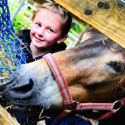 Get up close at the Exmoor Pony Centre