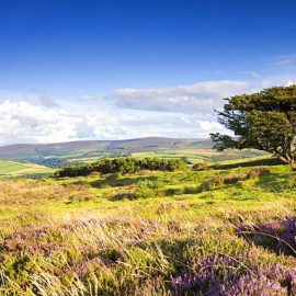 5 Day Summer Break on Exmoor | Itinerary Inspiration