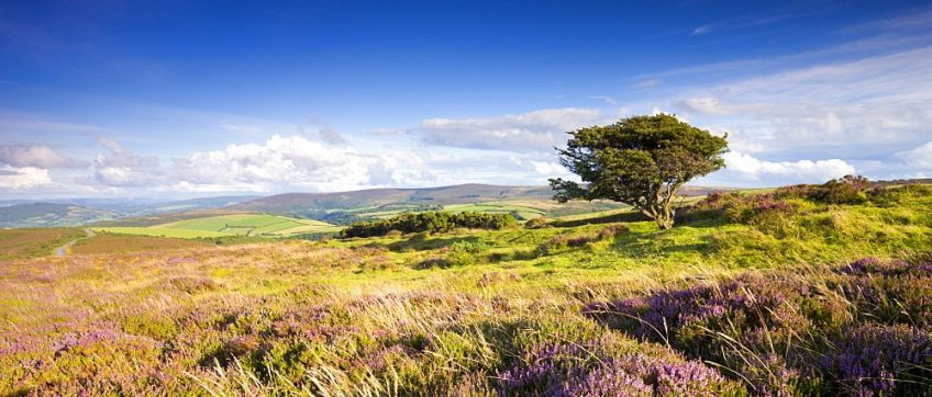 5 Day Summer Break on Exmoor | Itinerary Inspiration