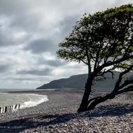 Circular Walk | Porlock Weir to Porlock | 4 Mile loop