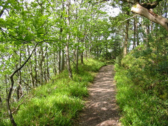 Woodland tracks to Culbone Church