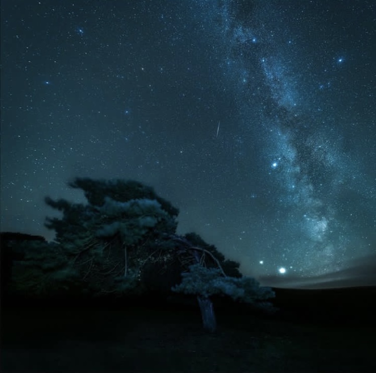 Dark green blue star studded night sky with trees and countryside silhouetted in foreground