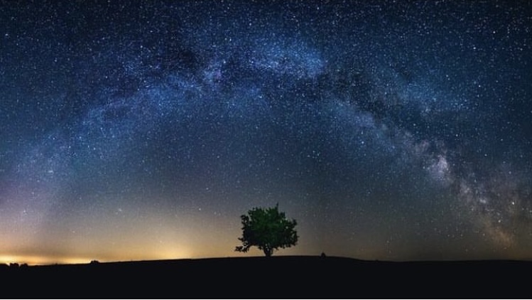 Starry sky with tree silhouetted - stargazing on Exmoor