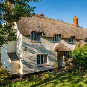 Bluebell Cottage, Old Cleeve - a white painted cottage with thatched roof and porch, pretty sunlight dappled garden & blue sky