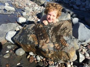 child, kid fossil hunting