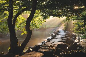 Sunlight shining through mist at Tarr Steps, Exmoor, Somerset.