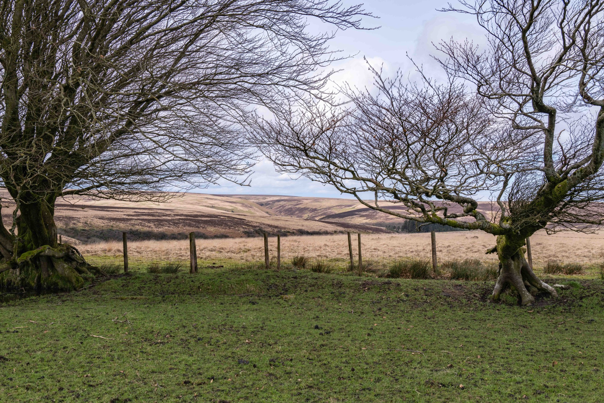 Exmoor Countryside and Walk