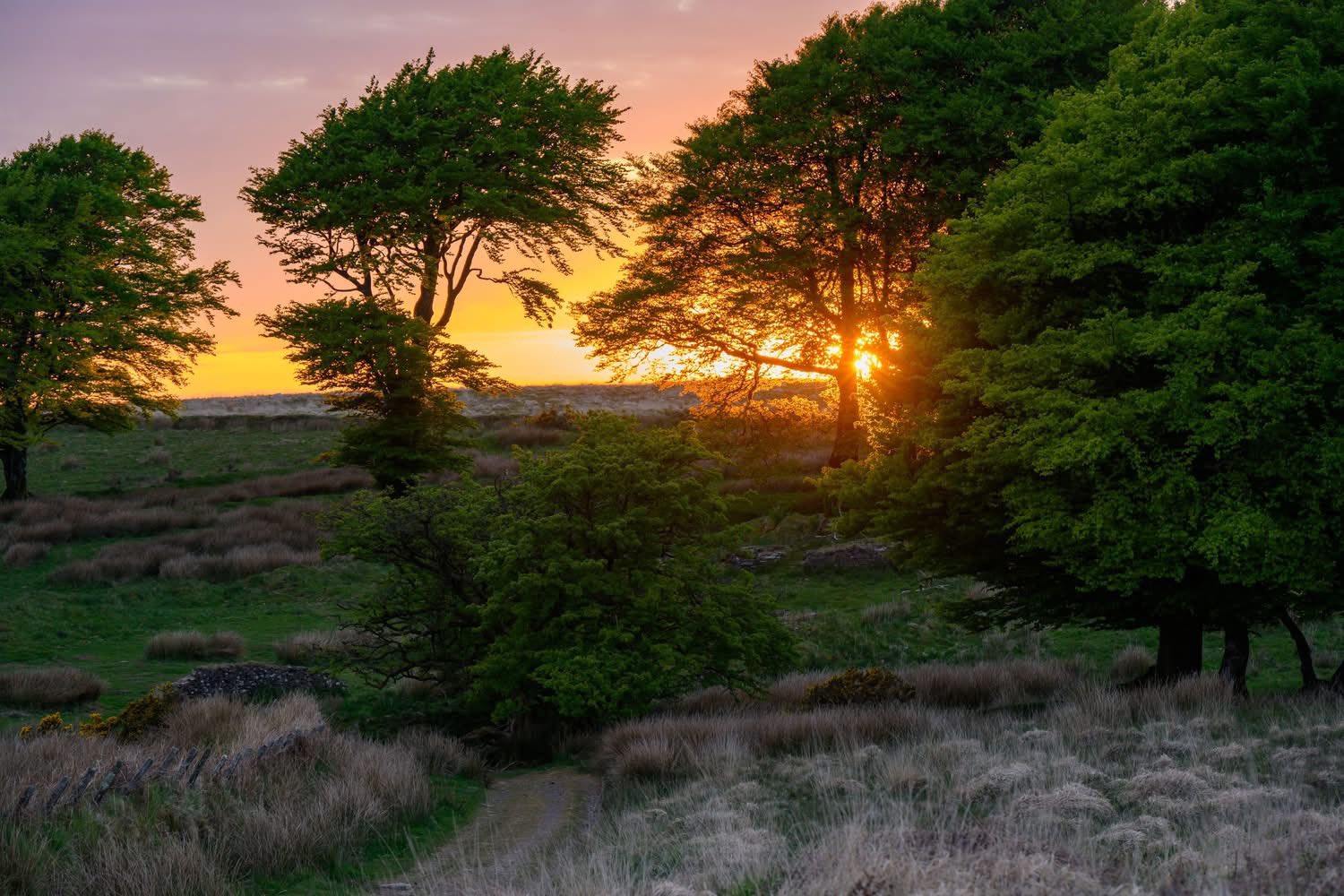 exmoor cottages