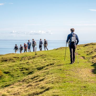 Summer Events on Exmoor 2025: Fairs, Festivals, Food & Family Fun