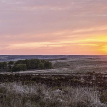 When Is the Best Time to Visit Exmoor?