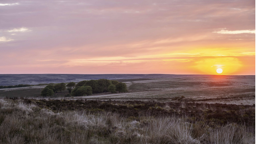 When Is the Best Time to Visit Exmoor?