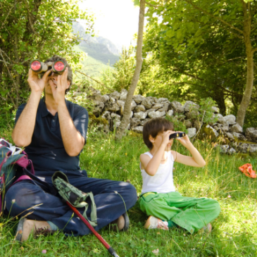 Birdwatching Holidays on Exmoor: Wild Encounters from Moor to Shore