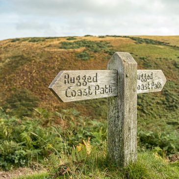 Greenaleigh Farm Circular Walk – Minehead Quay