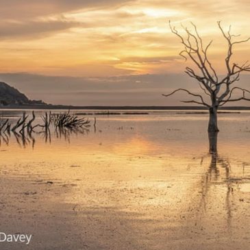 Circular Walk | Porlock Weir to Porlock | 4 Mile loop