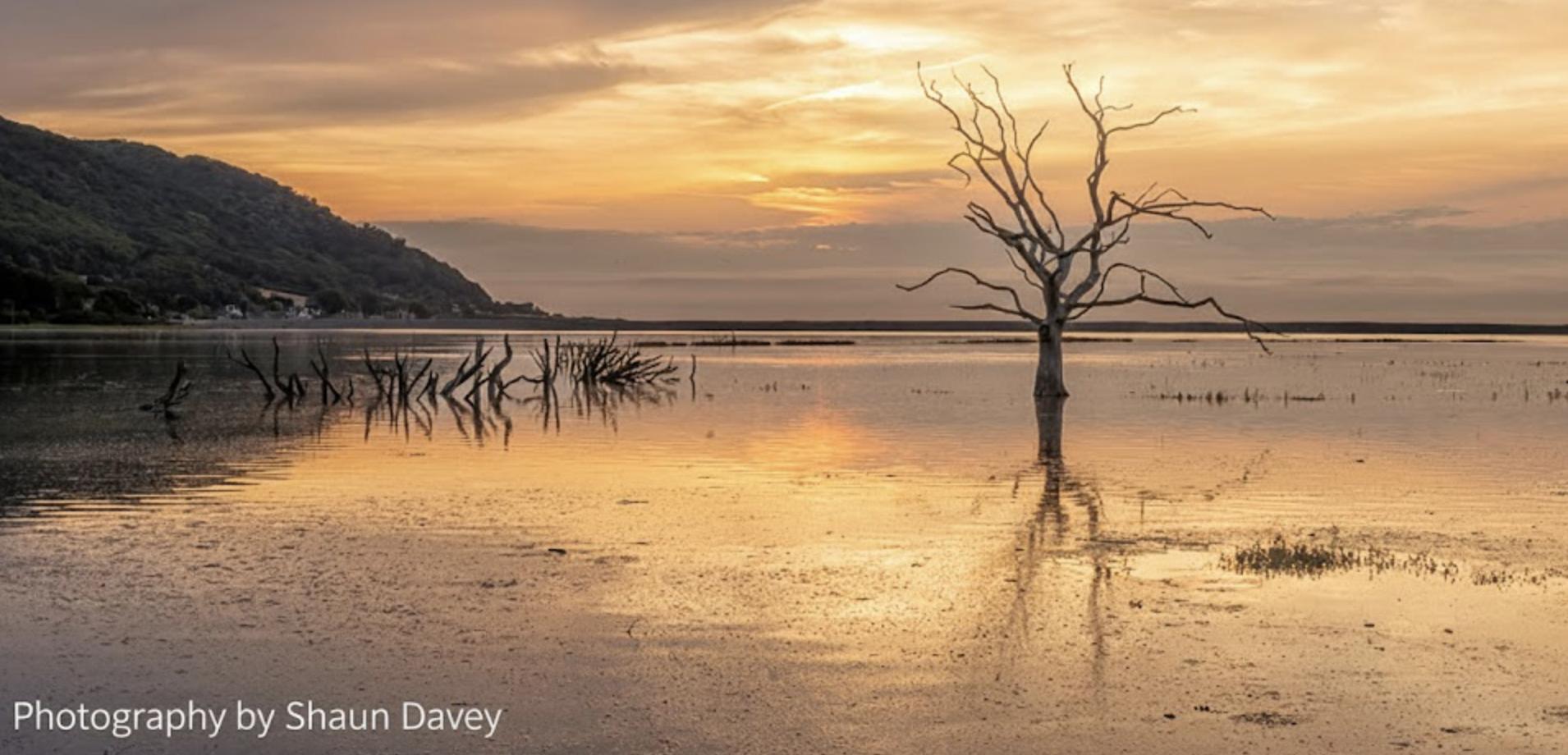 Circular Walk | Porlock Weir to Porlock | 4 Mile loop