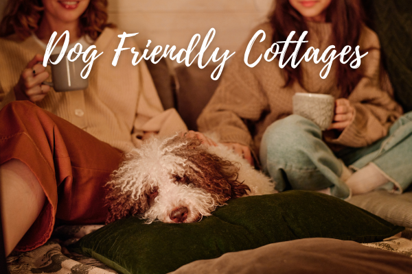 exmoor cottages dog friendly