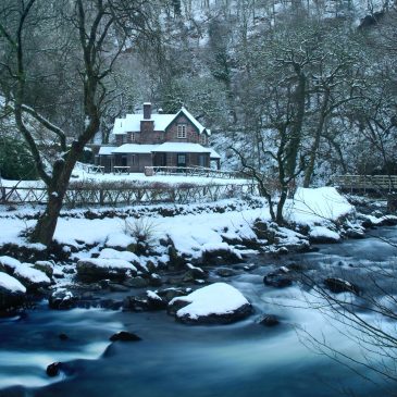 Large Family Gatherings on Exmoor: The Best Properties for Multi-Generational Holidays