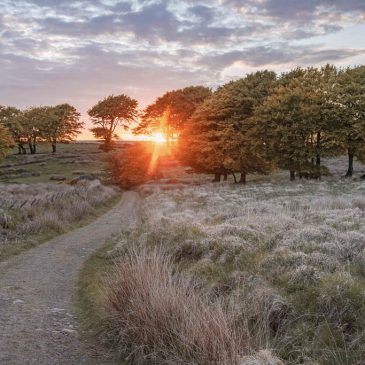 Mother’s Day on Exmoor 2026 | Cottages & Gift Ideas