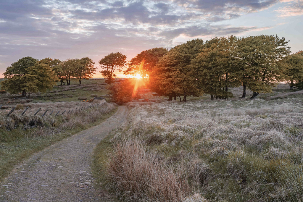 Mother's Day on Exmoor - romantic cottages and spring getaways