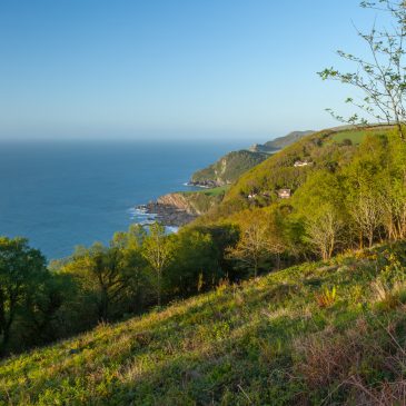 April on Exmoor 2026 | Events Update