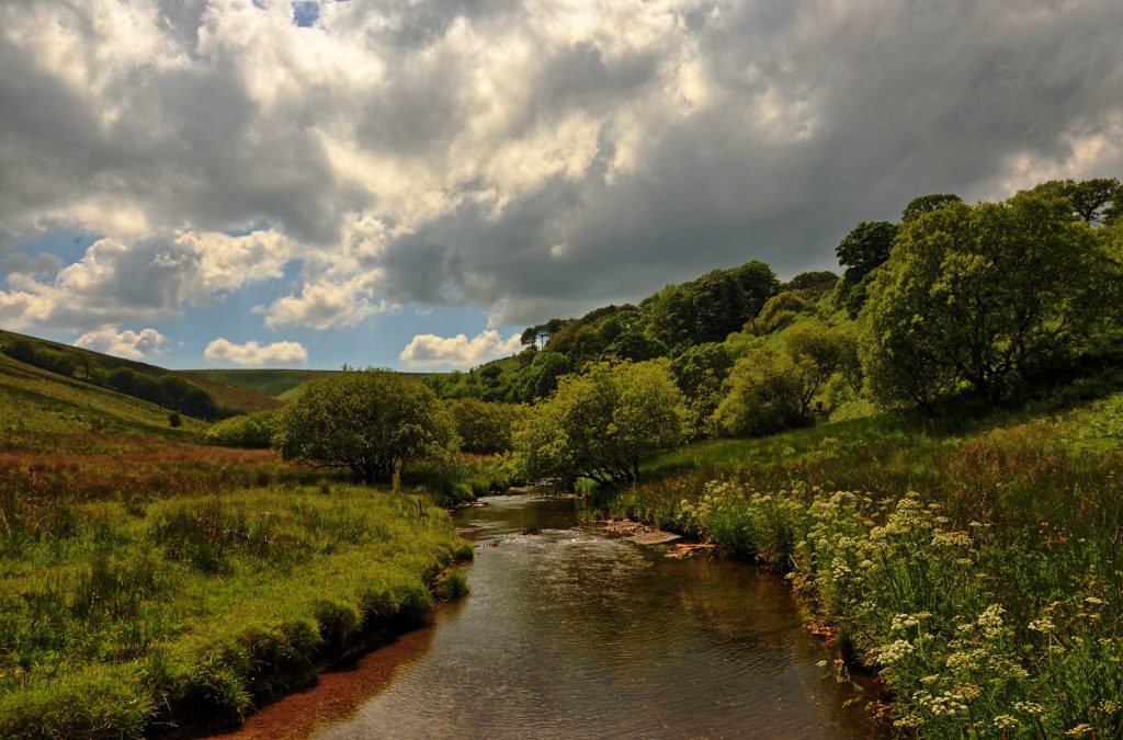exmoor in may