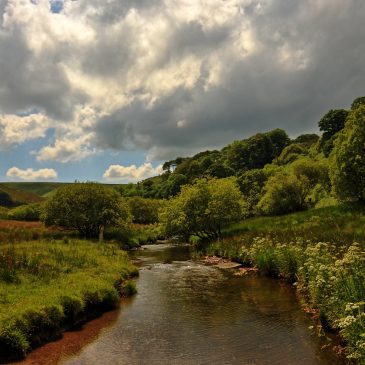 Exmoor in May 2026 | Wildlife, Wildflowers & Bank Holiday Events
