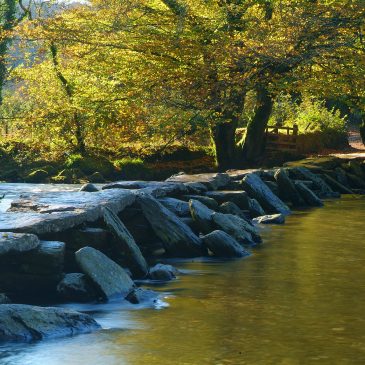 Whitsun Half-Term on Exmoor 2026 | Family Days Out, Walks & Cottage Stays