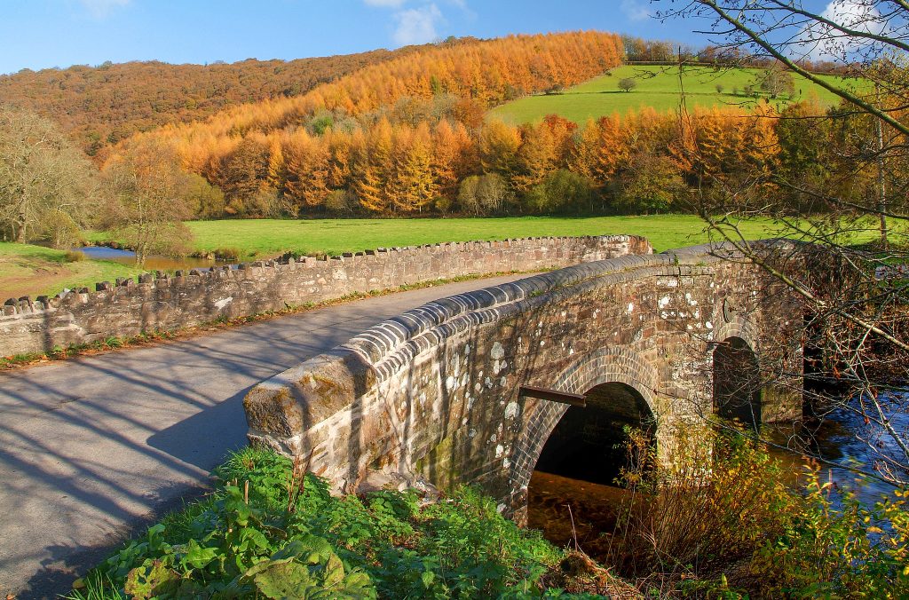 Dulverton Circular Walk