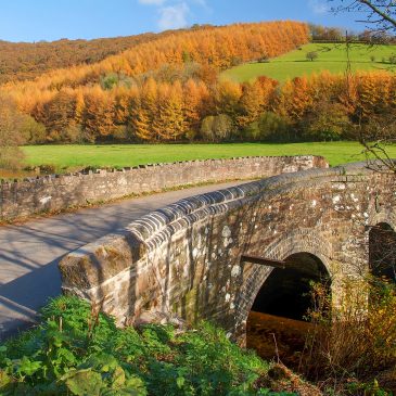 Dulverton Circular Walk: 12.5 Miles to Britain’s Longest Clapper Bridge