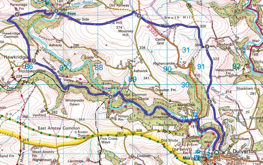 Dulverton Circular Walk