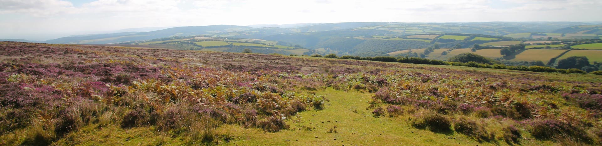 Exmoor moorland